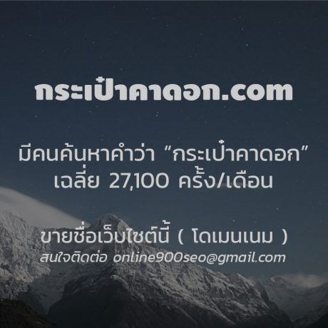 ขายโดเมนเนม กระเป๋าคาดอก.com