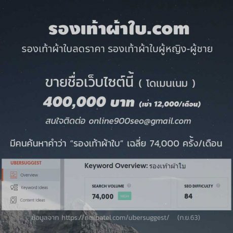 จำนวนการค้นหาคำว่า รองเท้าผ้าใบ