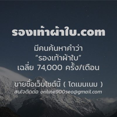 ขายโดเมนเนม รองเท้าผ้าใบ.com